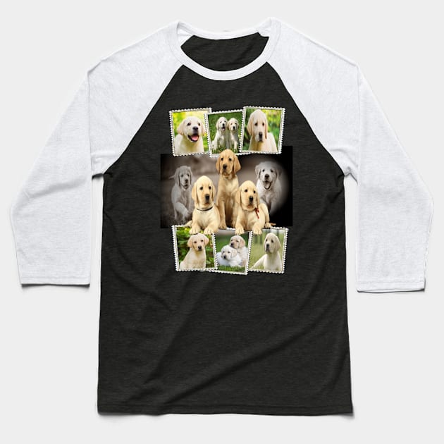 Golden Labrador Baseball T-Shirt by petermurphy619